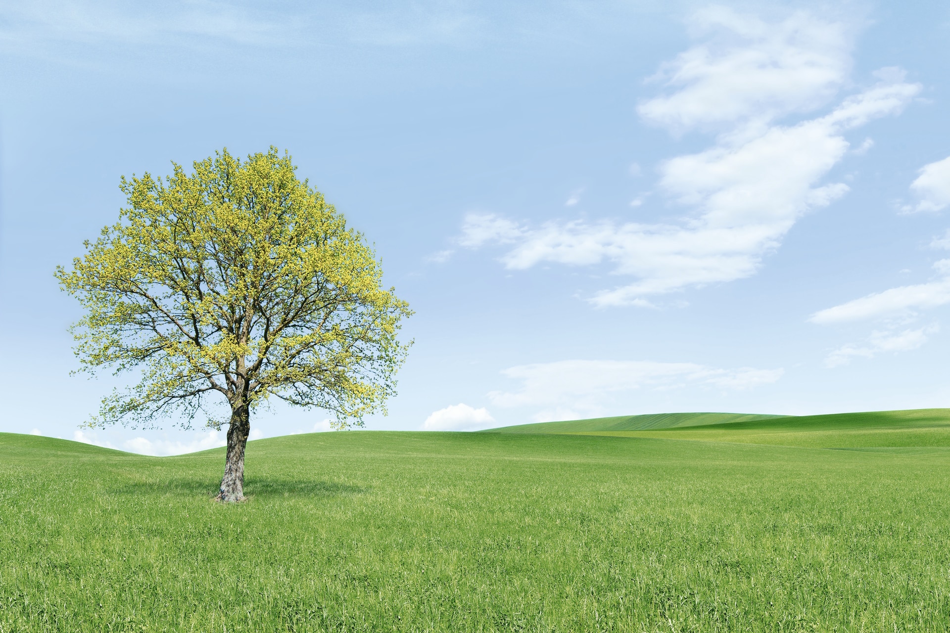 Viessmann Environmental Protection and Sustainability